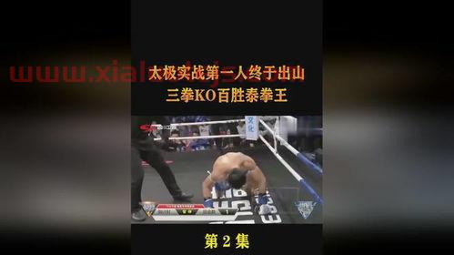 一龙ko泰拳王