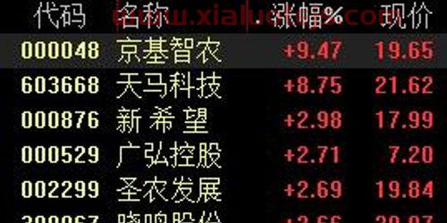 广弘控股