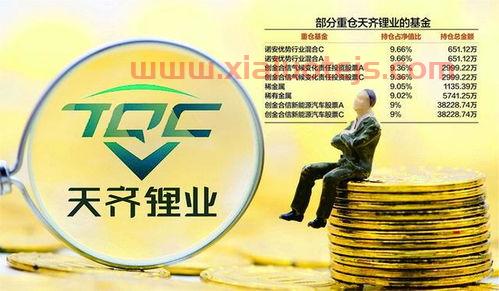 天齐锂业股吧