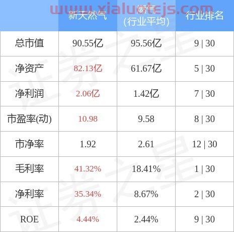 新天然气股票