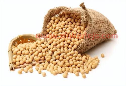 今日大豆价一斤多少钱
