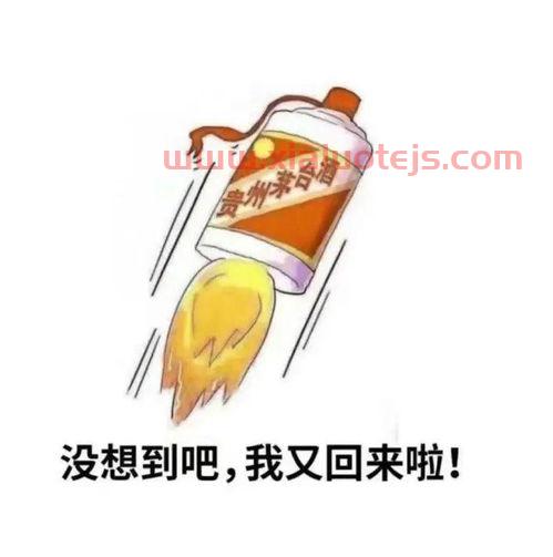 茅台股吧