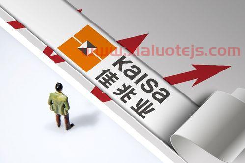 上海家化年报