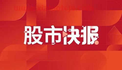 新纶新材股吧