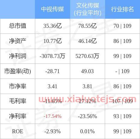 600088中视传媒股吧