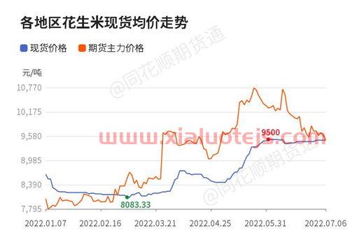 今日花生价格最新行情