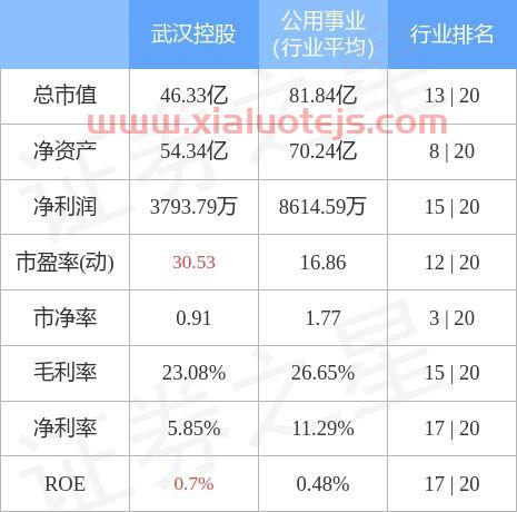 武汉控股股吧