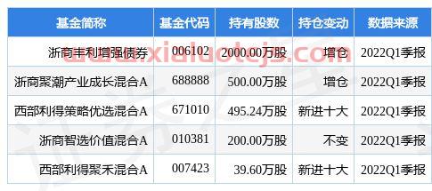山东海化股吧