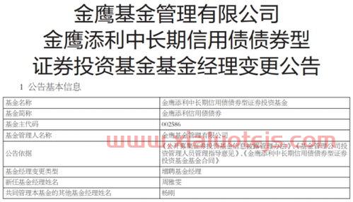 金鹰基金