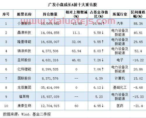 刘格菘最新持仓