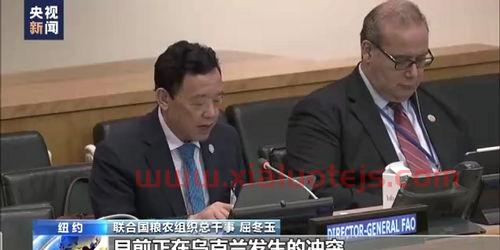世界儿童基金会