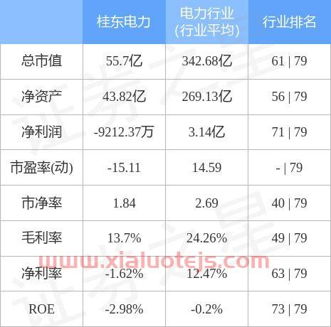 600310桂东电力股吧