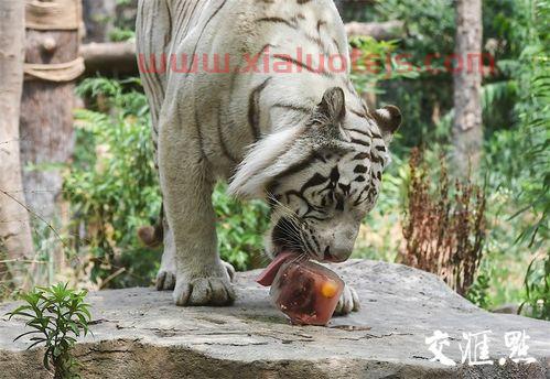 南京熊猫(600775)股吧