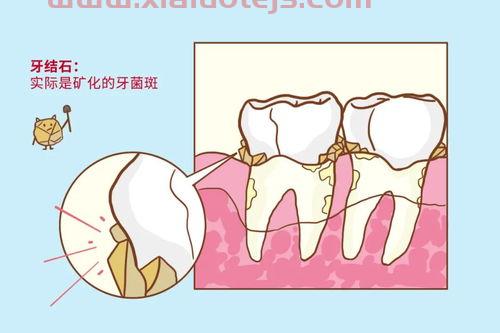 一个石一个占怎么读